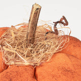 Primitive Orange Pumpkin
