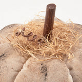 Primitive Cream Pumpkin