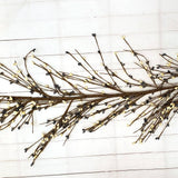 A.T. Imports - 5' Pip Berry Garland: Yellow & Orange