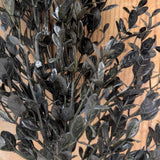 Black Leaves Pick