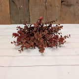 Rust Eucalyptus and Hops Orb