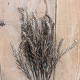 Foxtail Bush: Orange