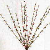 12" Pink and Green Pip Berry Spray Stem  : Pink/Green/Cream