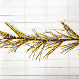 A.T. Imports - 5' Pip Berry Garland: Yellow & Orange