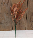 Foxtail Bush: Orange