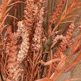 Foxtail Bush: Orange