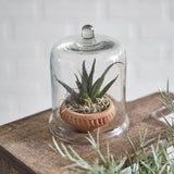 CTW Home Collection - Miniature Glass Bell Cloche