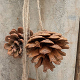A.T. Imports - Pine Cone Garland