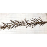 A.T. Imports - 5' Pip Berry Garland: Yellow & Orange