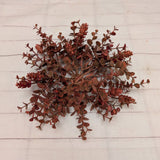Rust Eucalyptus and Hops Orb