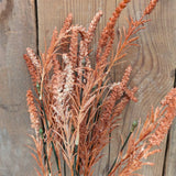 Foxtail Bush: Orange