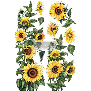 Sunflower - 24"x35"
